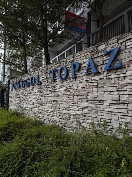 258A Punggol Field, 258A Punggol Field, Hougang / Punggol / Sengkang, Room Rental, 120 sqft, HDB Flat For Rent, by Steven Choo, 500276909 - Exterior - PropertyGuru.com.sg