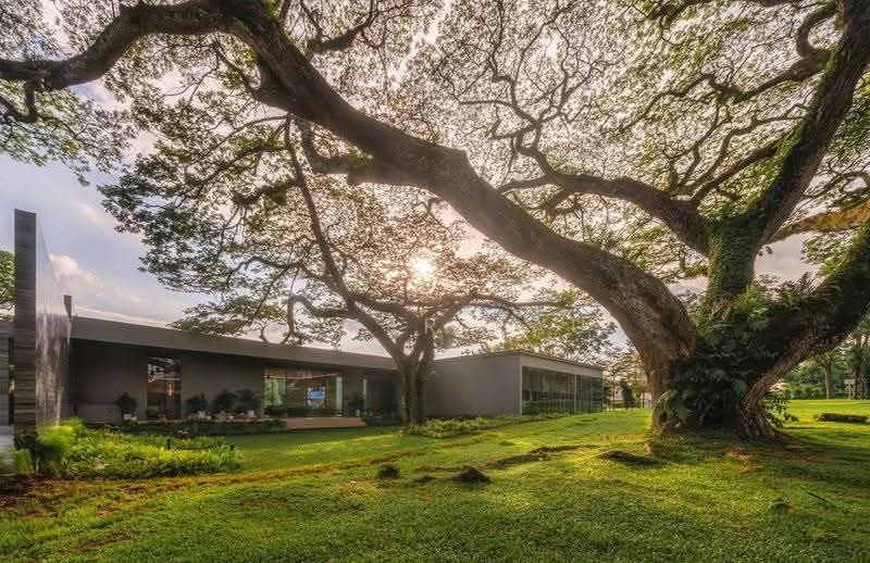 First Project in the Redevelopment of Turf City（达恩豪庭）, Dunearn Road, Newton / Novena, 4 Bedrooms, 1,378 sqft, Condominium For Sale, by Homer Lau, 500276953 - Exterior - PropertyGuru.com.sg