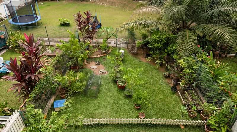 154 Shelford Road, Newton / Novena, 3 Bedrooms, 2,277 sqft, Terraced House For Sale, by REGINA NG, 500277190 - Garden - PropertyGuru.com.sg
