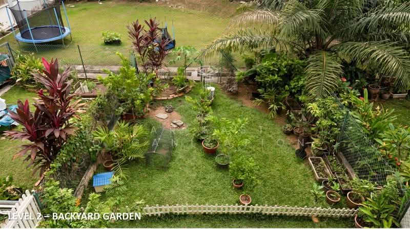 154 Shelford Road, Newton / Novena, 3 Bedrooms, 2,277 sqft, Terraced House For Sale, by REGINA NG, 500277190 - Garden - PropertyGuru.com.sg