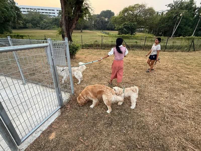 Burghley Centre, Burghley Drive, Hougang / Punggol / Sengkang, 887 sqft, Other Retail For Rent, by Tham Mun Hong, 500277308 - Exterior - CommercialGuru.com.sg