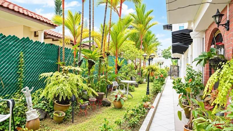 Jalan Limau Bali, Jalan Limau Bali, Bedok / Upper East Coast, Room Rental, 200 sqft, Terraced House For Rent, by Justin Lim, 500277713 - Garden - PropertyGuru.com.sg