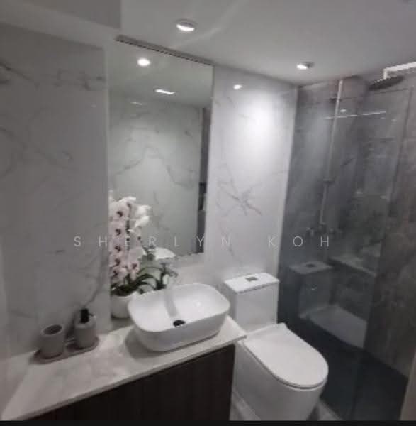 Pegu Road, Pegu Road, Orchard / River Valley, 1 Bedroom, 530 sqft, Apartment For Rent, by Sherlyn Koh, 500277795 - Bathroom - PropertyGuru.com.sg