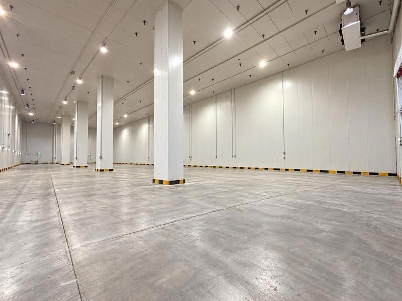Cheap | International Road | Food Cold Room Storage | Up to 12m Ceiling, International Road, Boon Lay / Jurong / Tuas, 60,000 sqft, Warehouse For Rent, by Alex Chan, 500277805 - Interior - CommercialGuru.com.sg