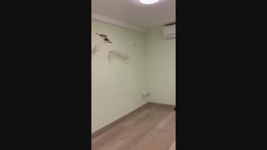 36 Circuit Road, 36 Circuit Road, Macpherson / Potong Pasir, 2 Bedrooms, 63 sqft, HDB Flat For Rent, by Angela Tan, 500277826 - PropertyGuru.com.sg
