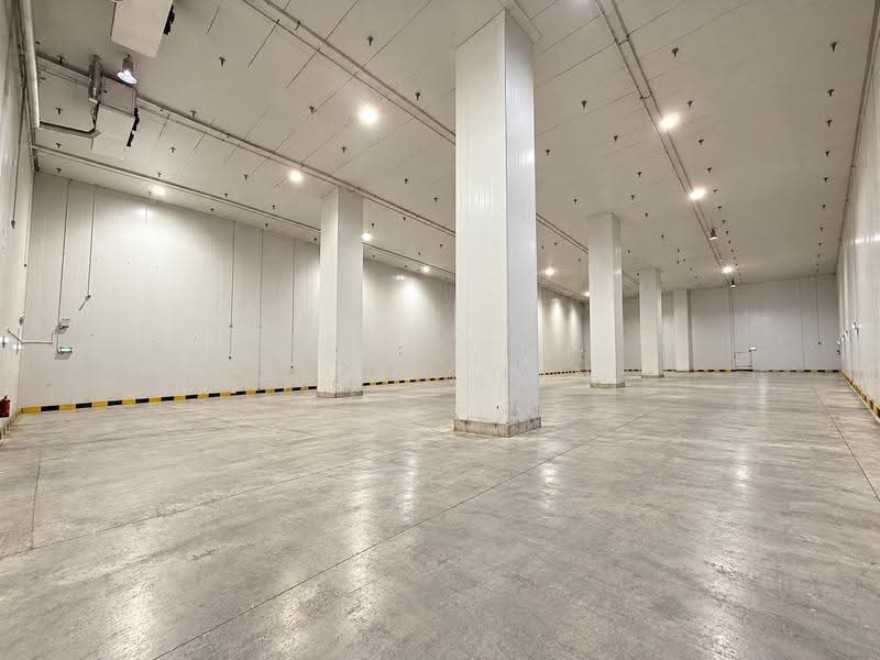 Cheap | International Road | Food Cold Room Storage | Up to 12m Ceiling, International Road, Boon Lay / Jurong / Tuas, 135,000 sqft, Warehouse For Rent, by Alex Chan, 500277844 - Interior - CommercialGuru.com.sg