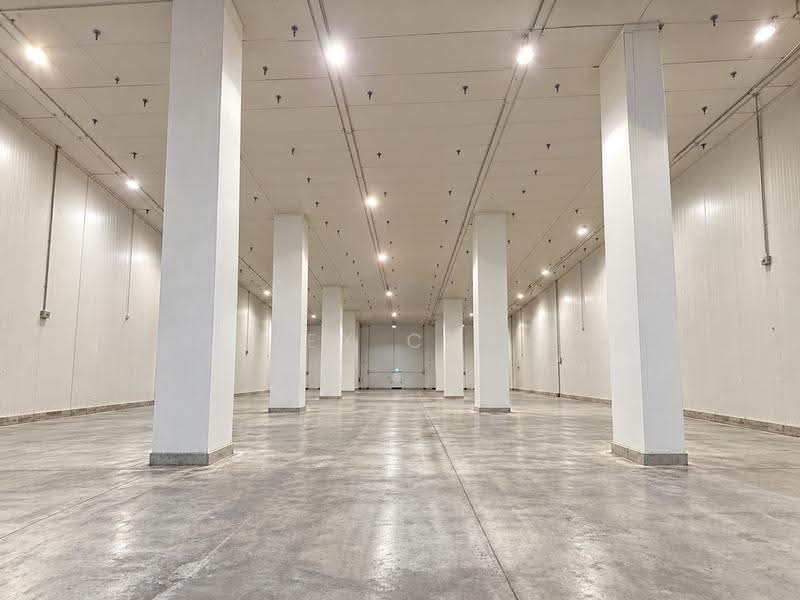 Cheap | International Road | Food Cold Room Storage | Up to 12m Ceiling, International Road, Boon Lay / Jurong / Tuas, 135,000 sqft, Warehouse For Rent, by Alex Chan, 500277844 - Interior - CommercialGuru.com.sg