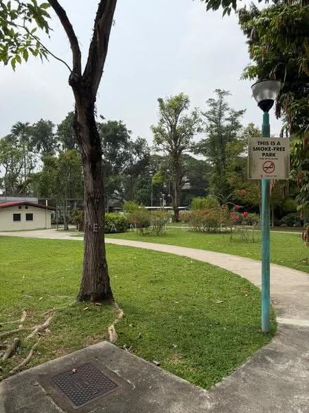 Watten terrace/Watten Estate, Newton / Novena, 4 Bedrooms, 2,700 sqft, Semi-Detached House For Sale, by Jean Loke, 500277904 - Garden - PropertyGuru.com.sg