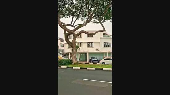 500A Changi Rd, Cjangi Rd, East Coast / Marine Parade, 3 Bedrooms, 1,300 sqft, Apartment For Rent, by Amy Zeng 房姐姐, 500278023 - PropertyGuru.com.sg