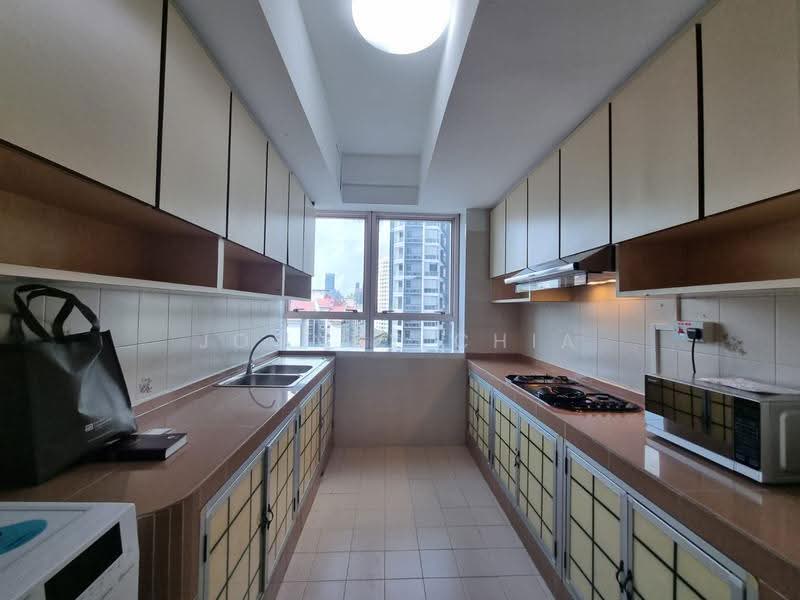 336 River Valley, 336 River Valley Road, Orchard / River Valley, 2 Bedrooms, 1,582 sqft, Apartment For Rent, by Johnny Chia, 500278048 - Kitchen - PropertyGuru.com.sg