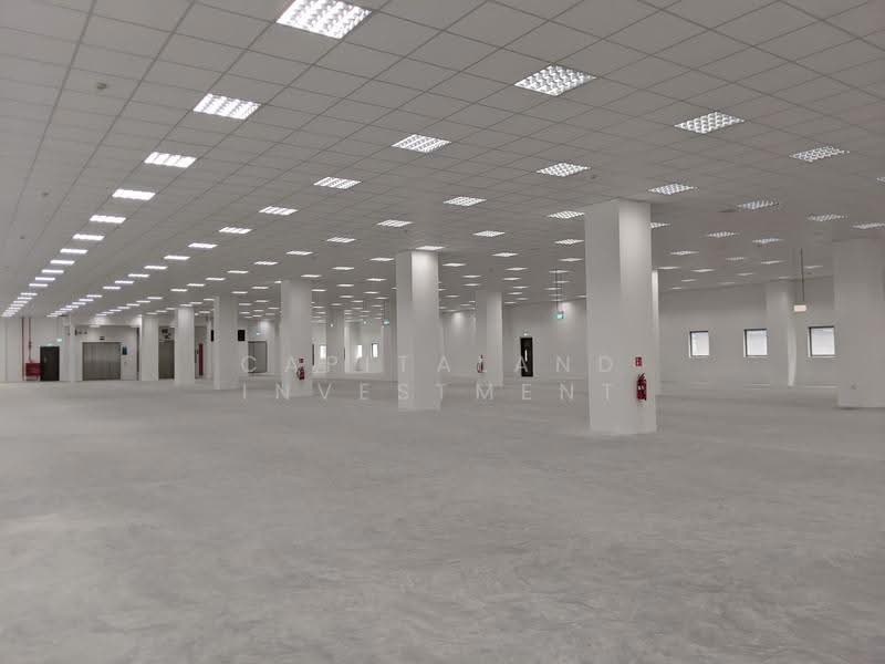 53 Serangoon North Avenue 4, 53 Serangoon North Avenue 4, Hougang / Punggol / Sengkang, 1,969 sqft, Light Industrial (B1) For Rent, by CapitaLand Limited, 500278184 - Interior - CommercialGuru.com.sg