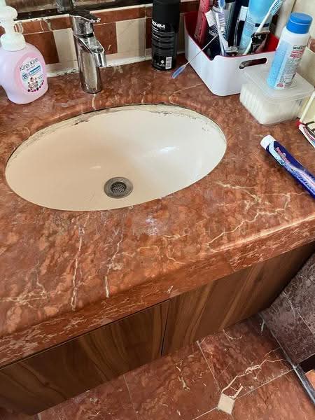 The Anchorage, 370D Alexandra Road, Alexandra / Commonwealth, Room Rental, 250 sqft, Condominium For Rent, by Kelvin Chin, 500278289 - Bathroom - PropertyGuru.com.sg