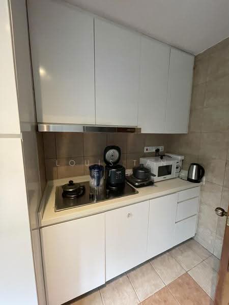 Le Hill, 42 Pasir Panjang Hill, Buona Vista / West Coast / Clementi New Town, 3 Bedrooms, 1,119 sqft, Condominium For Sale, by Louis Tan 陈广平, 500278377 - Kitchen - PropertyGuru.com.sg