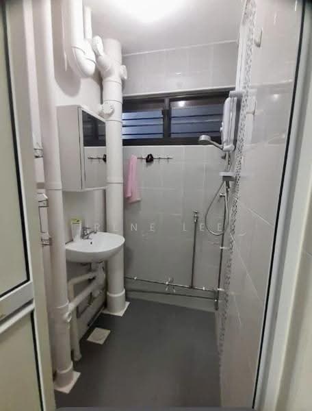 501 Bedok North Street 3, 501 Bedok North Street 3, Bedok / Upper East Coast, Room Rental, 80 sqft, HDB Flat For Rent, by Irene Lee, 500278407 - Bathroom - PropertyGuru.com.sg