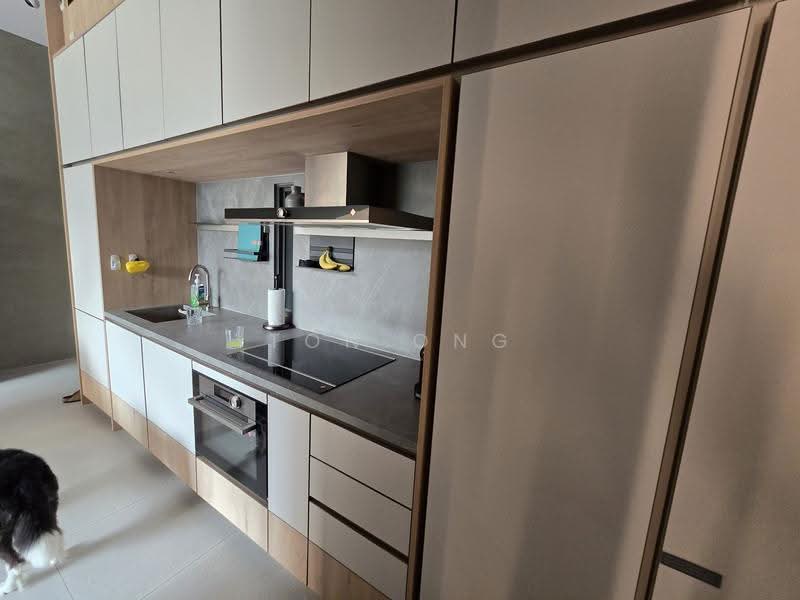 Petit Jervois, 33 Jervois Road, Tanglin / Holland / Bukit Timah, 2 Bedrooms, 818 sqft, Condominium For Rent, by Ton Ong, 500278709 - Kitchen - PropertyGuru.com.sg