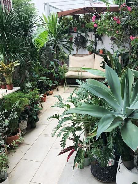 Studios @ Marne, 2 Marne Road, Farrer Park / Serangoon Rd, Studio, 883 sqft, Apartment For Sale, by Daniel Gan, 500278756 - Garden - PropertyGuru.com.sg