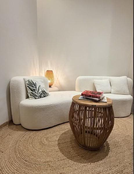 Katong shophouse, East Coast / Marine Parade, Room Rental, 120 sqft, Shophouse For Rent, by Dexter Lim, 500279298 - Living Room - PropertyGuru.com.sg