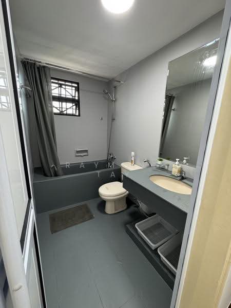 The Anchorage, 370 Alexandra Road, Alexandra / Commonwealth, Room Rental, 230 sqft, Condominium For Rent, by Raymond Tay, 500279332 - Bathroom - PropertyGuru.com.sg