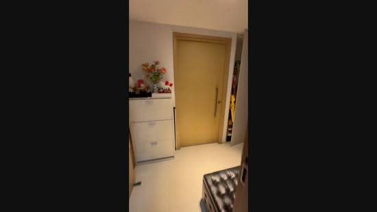 Twin Waterfalls, 116 Punggol Walk, Hougang / Punggol / Sengkang, Studio, 300 sqft, Condominium For Rent, by Kelvin Ng, 500279449 - PropertyGuru.com.sg