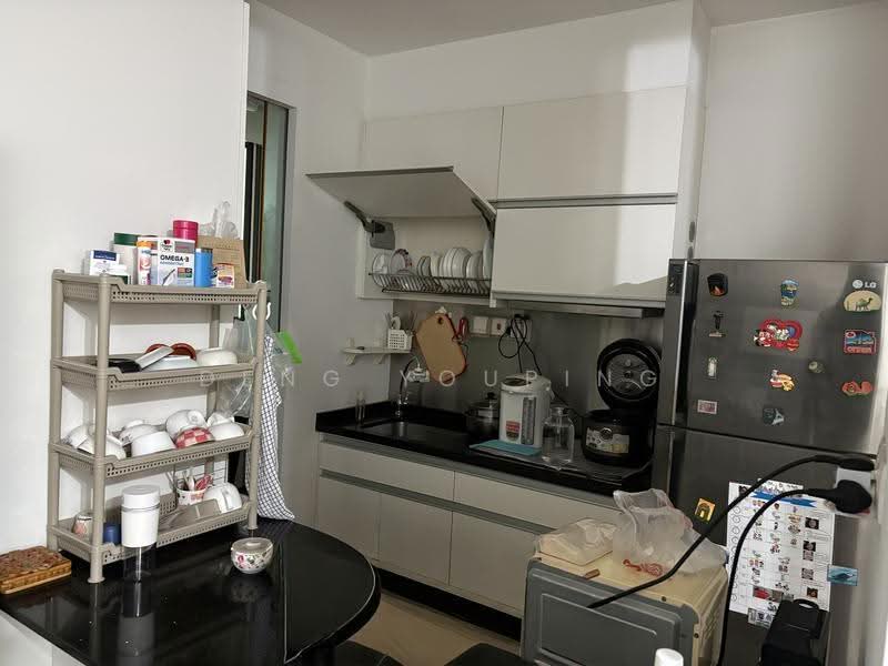 Ventuno Balmoral, 21 Balmoral Road, Tanglin / Holland / Bukit Timah, 3 Bedrooms, 1,313 sqft, Condominium For Sale, by Deng Youping, 500279506 - Kitchen - PropertyGuru.com.sg