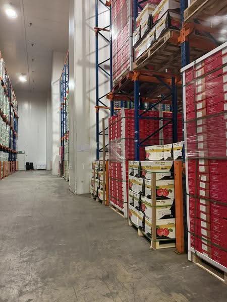 Food Storage & Distribution - Chiller with 11m Ceiling Height, Boon Lay / Jurong / Tuas, 6,868 sqft, Warehouse For Rent, by Betsy Loh, 500279856 - Chiller Temperature - CommercialGuru.com.sg