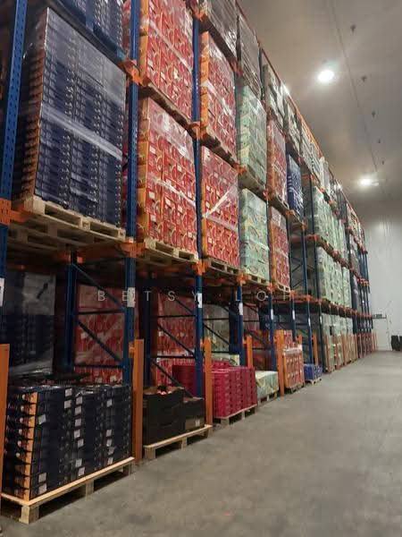 Food Storage & Distribution - Chiller with 11m Ceiling Height, Boon Lay / Jurong / Tuas, 6,868 sqft, Warehouse For Rent, by Betsy Loh, 500279856 - CommercialGuru.com.sg