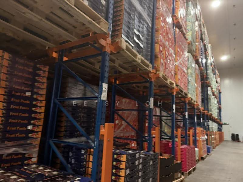 Food Storage & Distribution - Chiller with 11m Ceiling Height, Boon Lay / Jurong / Tuas, 6,868 sqft, Warehouse For Rent, by Betsy Loh, 500279856 - CommercialGuru.com.sg