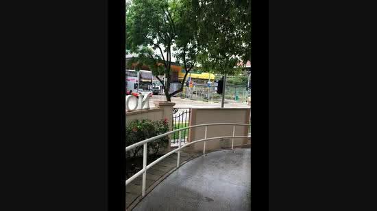 Northvale, 61 Choa Chu Kang Loop, Dairy Farm / Bukit Panjang / Choa Chu Kang, 1 Bedroom, 110 sqft, Apartment For Rent, by Swan Tham, 500280045 - PropertyGuru.com.sg