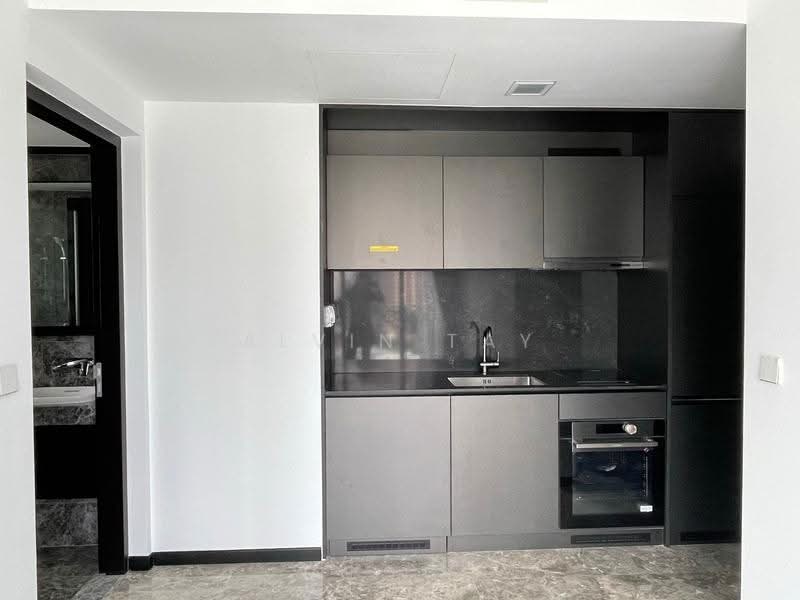 120 Grange, 120 Grange Road, Tanglin / Holland / Bukit Timah, 2 Bedrooms, 678 sqft, Condominium For Sale, by Alvin Tay, 500280843 - Kitchen - PropertyGuru.com.sg
