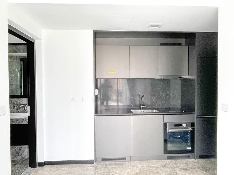120 Grange, 120 Grange Road, Tanglin / Holland / Bukit Timah, 2 Bedrooms, 678 sqft, Condominium For Sale, by Alvin Tay, 500280843 - Kitchen - PropertyGuru.com.sg