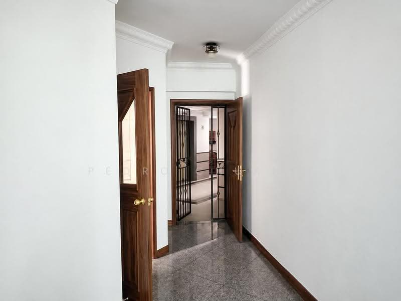 Maysprings, 2 Petir Road, Dairy Farm / Bukit Panjang / Choa Chu Kang, 2 Bedrooms, 905 sqft, Apartment For Sale, by Pedro Chuang, 500280863 - Corridor - PropertyGuru.com.sg