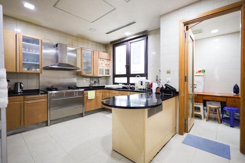 Ardmore Park, 15 Ardmore Park, Tanglin / Holland / Bukit Timah, 4 Bedrooms, 2,885 sqft, Condominium For Sale, by Catherine Chiam, 500281760 - Kitchen - PropertyGuru.com.sg