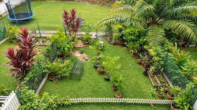 Rare Well Sized 3 Storey Terrace with Great Privacy. Mins Walk to MRT., Shelford Road, Newton / Novena, 4 Bedrooms, 3,000 sqft, Terraced House For Sale, by Tan Shi Kai, 500281907 - PropertyGuru.com.sg