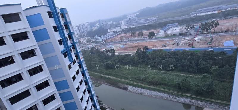 692B Choa Chu Kang Crescent, 692B Choa Chu Kang Crescent, Dairy Farm / Bukit Panjang / Choa Chu Kang, 3 Bedrooms, 968 sqft, HDB Flat For Sale, by Sally Chiang, 500282123 - PropertyGuru.com.sg