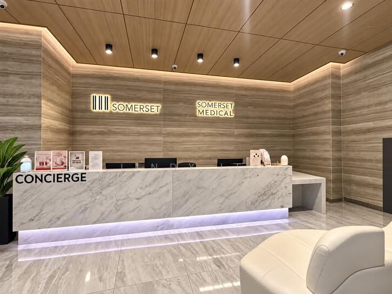 TripleOne Somerset, 111 Somerset Road, Orchard / River Valley, 1,130 sqft, Office For Sale, by Lindy Lee, 500282129 - CommercialGuru.com.sg