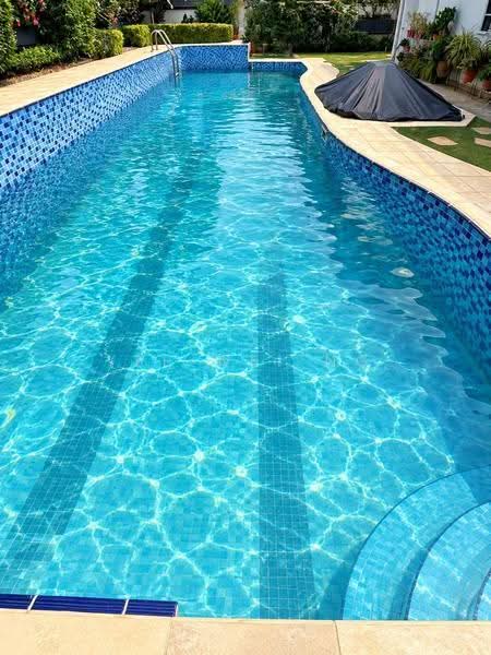 Juicy Plot! Live In Or Rebuild｜自住或重建皆宜 8321.8433, Seletar / Yio Chu Kang, 5 Bedrooms, 5,000 sqft, Semi-Detached House For Sale, by Yee Wei Ng, 500282170 - Exterior - PropertyGuru.com.sg