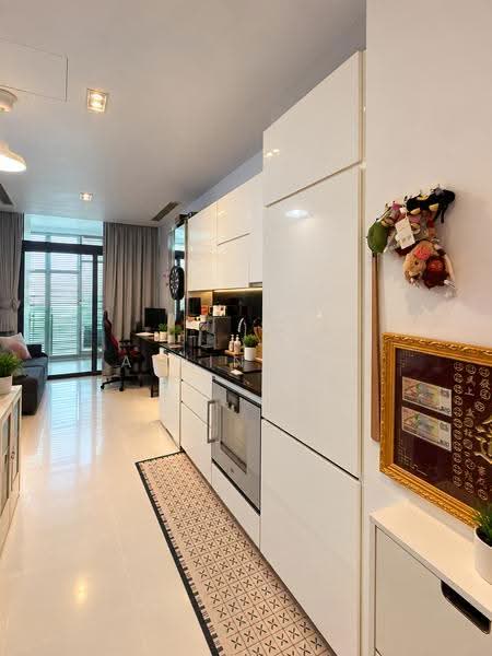 Robin Suites, 25 Robin Road, Tanglin / Holland / Bukit Timah, 1 Bedroom, 463 sqft, Apartment For Sale, by Alvin Tay, 500282558 - Kitchen - PropertyGuru.com.sg
