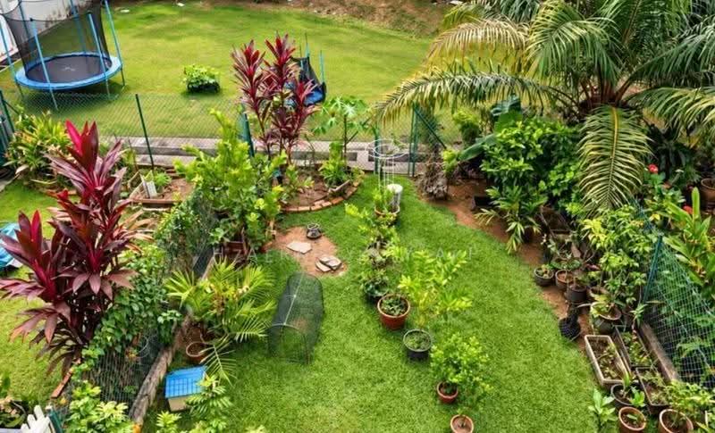 Shelford Road, Adam Road, Newton / Novena, 3 Bedrooms, 3,000 sqft, Terraced House For Sale, by Harry Yap, 500282649 - Garden - PropertyGuru.com.sg