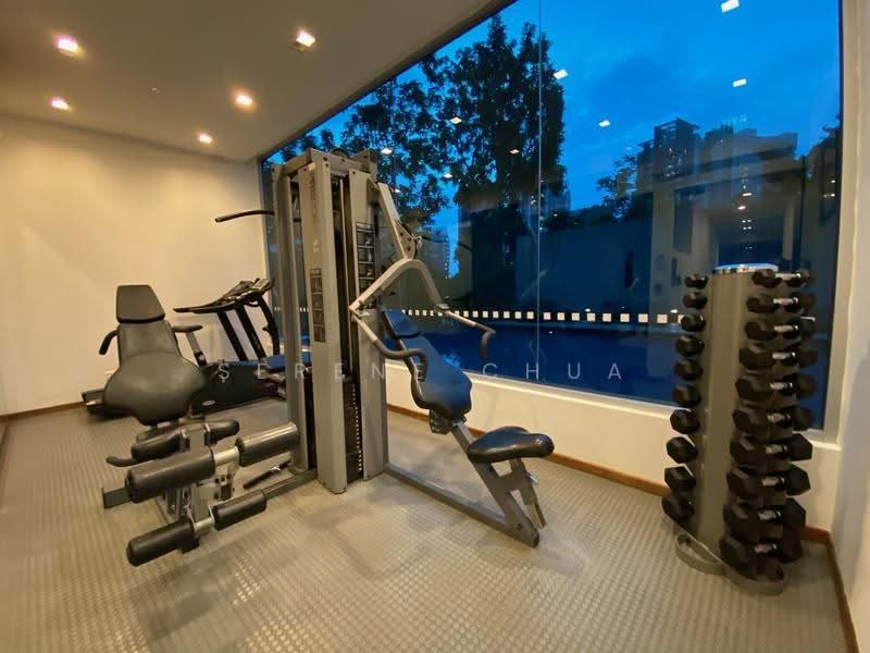 Leonie Suites, 21 Leonie Hill, Orchard / River Valley, 2 Bedrooms, 936 sqft, Condominium For Rent, by Serene Chua, 500283002 - Gym - PropertyGuru.com.sg