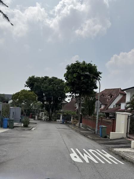 Elevated Semi-D in Bukit Timah | A&A or Rebuild Potential, Newton / Novena, 7 Bedrooms, 4,888 sqft, Semi-Detached House For Sale, by Eric Low, 500283010 - Exterior - PropertyGuru.com.sg