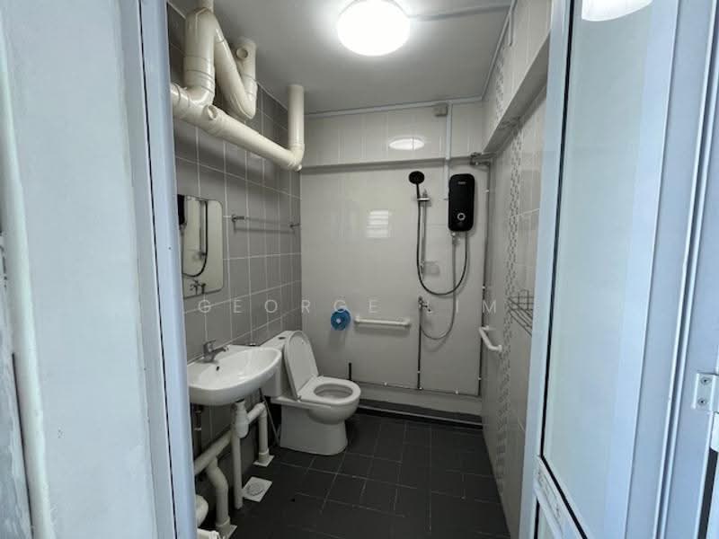 117 Bukit Batok West Avenue 6, 117 Bukit Batok West Avenue 6, Dairy Farm / Bukit Panjang / Choa Chu Kang, 3 Bedrooms, 1,421 sqft, HDB Flat For Sale, by George Lim, 500283673 - Bathroom - PropertyGuru.com.sg