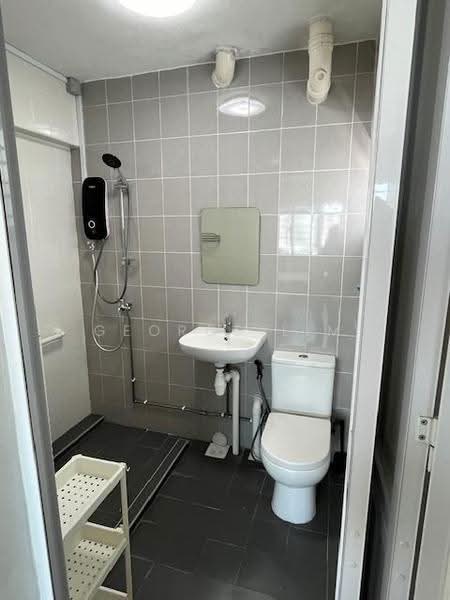 117 Bukit Batok West Avenue 6, 117 Bukit Batok West Avenue 6, Dairy Farm / Bukit Panjang / Choa Chu Kang, 3 Bedrooms, 1,421 sqft, HDB Flat For Sale, by George Lim, 500283673 - Bathroom - PropertyGuru.com.sg