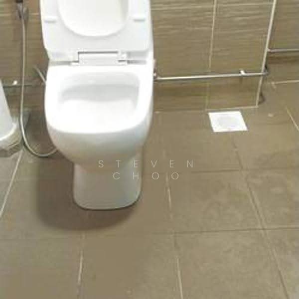 567 Choa Chu Kang Street 52, 567 Choa Chu Kang Street 52, Dairy Farm / Bukit Panjang / Choa Chu Kang, Room Rental, 130 sqft, HDB Flat For Rent, by Steven Choo, 500283902 - Bathroom - PropertyGuru.com.sg