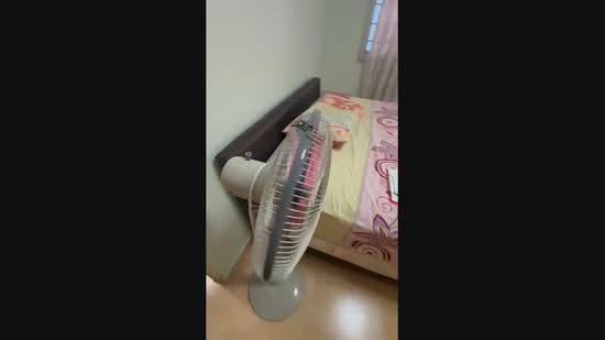 260 Bukit Batok East Avenue 4, 260 Bukit Batok East Avenue 4, Dairy Farm / Bukit Panjang / Choa Chu Kang, Room Rental, 120 sqft, HDB Flat For Rent, by Steven Choo, 500283919 - PropertyGuru.com.sg