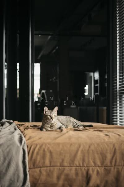 Stangee Place, A little brick, a little light, a lot of character. Stangee Place Level 2 walk up, East Coast / Marine Parade, 2 Bedrooms, 1,076 sqft, Walk-up Apartment For Sale, by Tien Tien Chen, 500284009 - Bedroom - PropertyGuru.com.sg