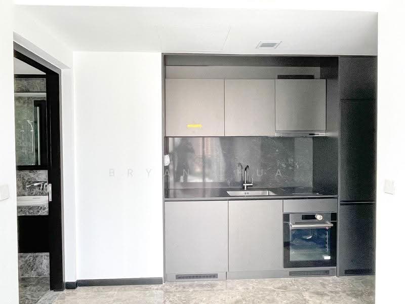 120 Grange, 120 Grange Road, Tanglin / Holland / Bukit Timah, 2 Bedrooms, 678 sqft, Condominium For Sale, by Bryan Chua, 500284156 - Kitchen - PropertyGuru.com.sg