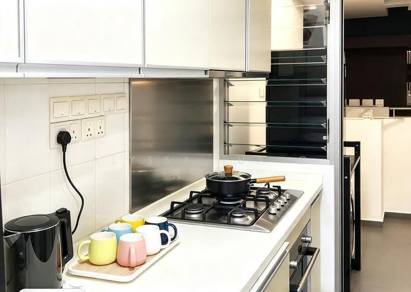 The Parc Condominium, 3 West Coast Walk, Buona Vista / West Coast / Clementi New Town, Room Rental, 150 sqft, Condominium For Rent, by Alyssa Huang 黄家敏, 500284326 - Kitchen - PropertyGuru.com.sg