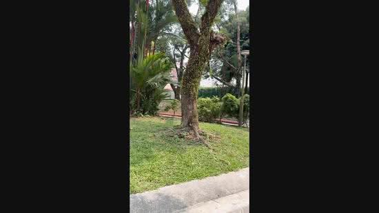 3 Toh Yi Drive, 3 Toh Yi Drive, Clementi Park / Upper Bukit Timah, 4 Bedrooms, 1,571 sqft, HDB Flat For Sale, by Mark Tan, 500284610 - PropertyGuru.com.sg