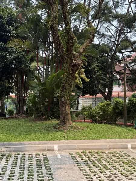3 Toh Yi Drive, 3 Toh Yi Drive, Clementi Park / Upper Bukit Timah, 4 Bedrooms, 1,571 sqft, HDB Flat For Sale, by Mark Tan, 500284610 - Garden - PropertyGuru.com.sg