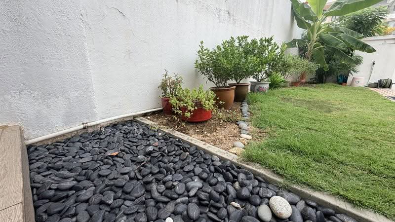 Serangoon Large Terrace for Sale below the 5M mark 546, Hougang / Punggol / Sengkang, 4 Bedrooms, 2,500 sqft, Terraced House For Sale, by Mick Ho, 500284665 - Garden - PropertyGuru.com.sg